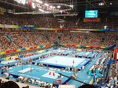 Národní Zimní stadion (gymnastika).jpg